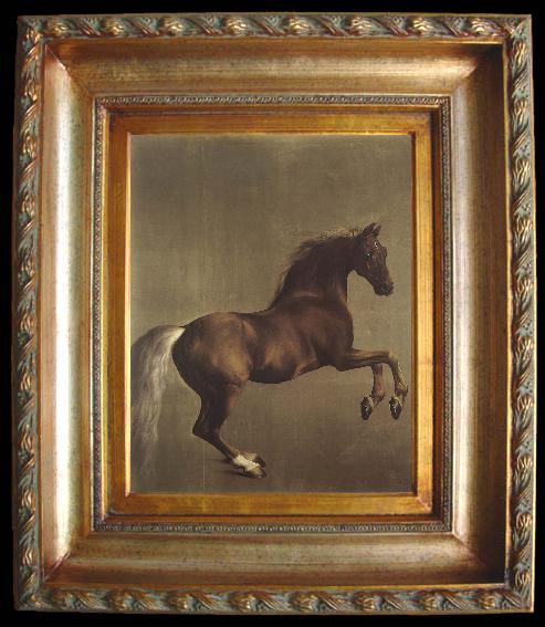 framed  George Stubbs Whistlejacket, Ta059-2